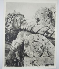 Signed Ildiko Butler photograph lichen covered sculpture/architecture study