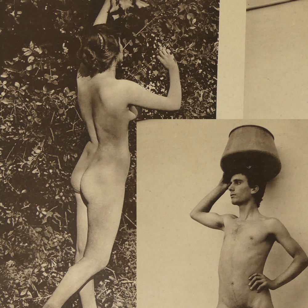 Man Woman Collotype Photo Plate 1905 Naked Couple Gay Interest Outdoor Pluschow