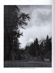 A Tribute To Ansel Adams (Softcover) From The Wilderness Society Book