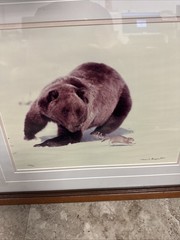 Thomas Mangelsen Signed Numbered Baron Pursuit Sold Out (out Of Production)