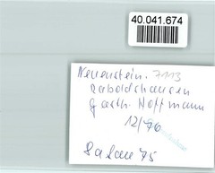 40041674 – 6431 Raboldshausen Gasthaus Hoffmann entertainer on organ
