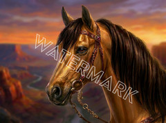 Premium Southwestern Arizona Horse Head #1 Artwork Digital Image Picture Photo