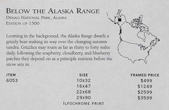 SIGNED Thomas D. Mangelsen, «Below The Alaska Range», 1993, Panoramic Photograph