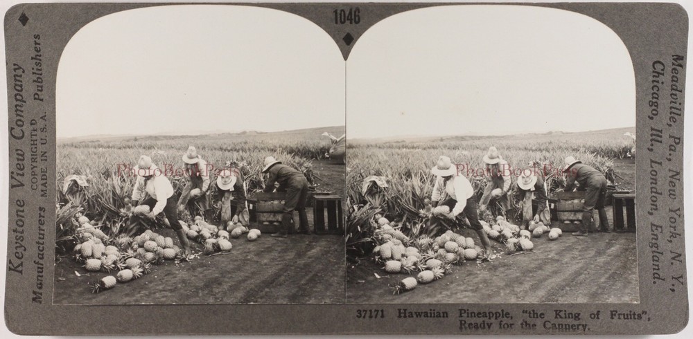 Hawaiian Pineapple Photo Stereo Vintage Analog P72L6n