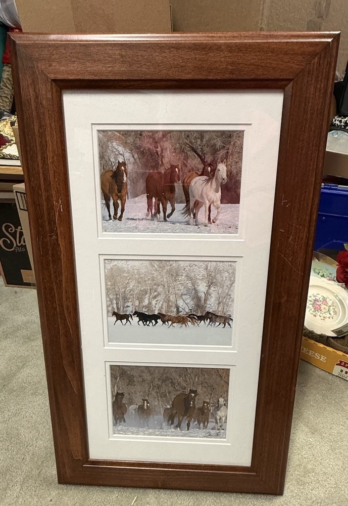 Tri Photo Horse Themed Piece In Wood Frame Signed