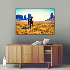 Monument Valley Horse – Utah Fine Art Photography by Bear8Photo – Desert Décor