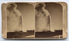 F Jay Haynes, Yellowstone / Old Faithful Geyser During Eruption 1303 Stereoview