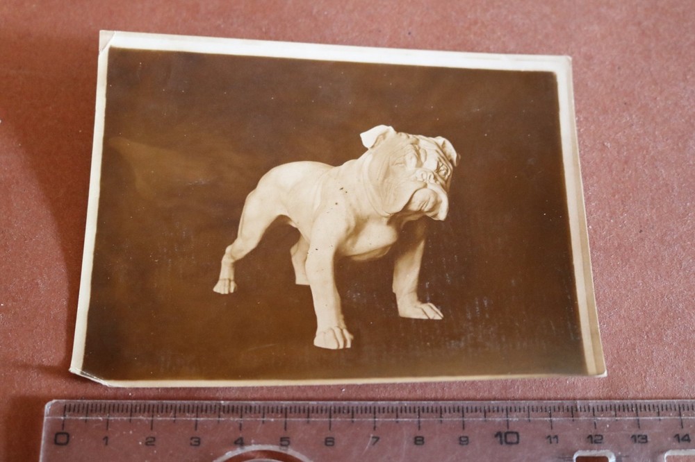 Great old porcelain model-Diller-English Bulldog 1910-1930???