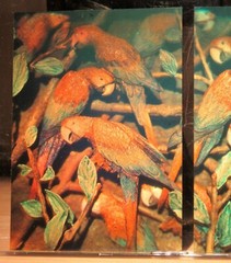 Full Color Film Hologram fully-3D, rare matching set of 2 (8″x 5.5″) Japan 1998