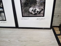 NEIL R. BROWN Fine Art Photography 3 Framed Signed Rare Set Two Car Garage