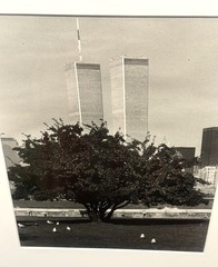 WTC Twin Towers NYC Black & White Photo Print Custom Matted & Framed 19 x 22 #2
