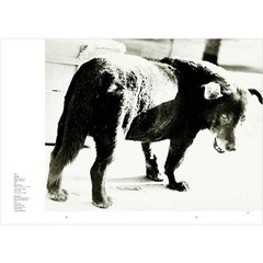 Daido Moriyama Memories of Light Photographer Photo Art Collection Book