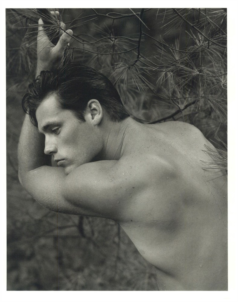 1990 Bruce Weber Nude Male Model Contemplation Pine Tree Art Photo Gravure