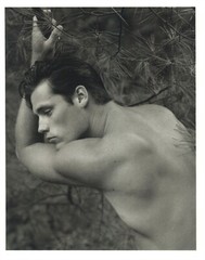 1990 Bruce Weber Nude Male Model Contemplation Pine Tree Art Photo Gravure