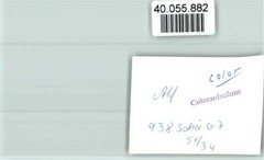 40055882 – 5584 Bullay Local View