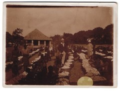 Photograph African locals picking cotton monitored by colon