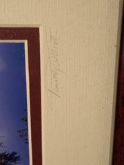 5-Piece Framed Timothy Wolcott Fine Art Photography Collection 4 Signed 1 Not