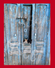 Cat Art Sample Wallpaper Background Desktop Digital Image Picture Photo-19