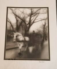 Garry Seidel Signed Photograph «Horse and Carriage» Gelatin Process 11″ x 14″