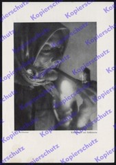 orig. Photo print Heinz von Perckhammer portrait charcoal woman craft Southern Carinthia 1935