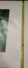 Don Ament «Running Through My Mind»Signed Matted Nature Creek Photograph 16″x20»