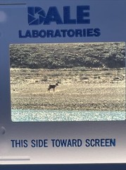 Lot Of 34 1987 Horton River North West Territory Boating 35mm Color Slides