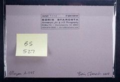 Boris Starosta 3D Stereoview – Morgan A-1145 – nude model signed 2008 #527