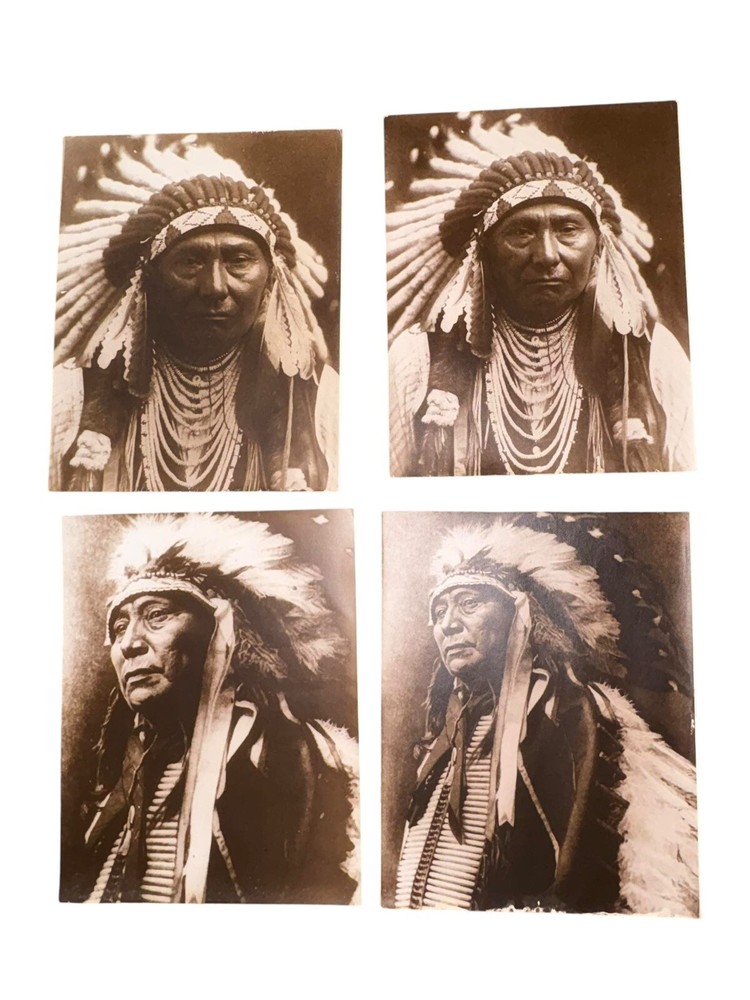 Vintage 11×14 Edward Curtis Reprint Indian Chief Joseph & Sioux Hollow Horn Bear
