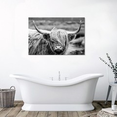 SEVEN WALL ARTS Highland Cow Photography Wildlife Portrait Picture Black and …