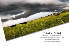 Storm Photography Print: Kansas Cows Thunderstorm Country Weather Cattle Photo
