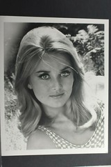 Blonde Actress Head Shot 1967 Casino Royale – 8×10″ Photo Print – Vintage L1300B