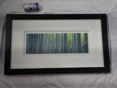Peter Lik «Endless Birches» Birch Trees Photograph 163/950