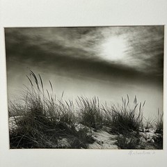 Vintage Photograph ‘On the Dunes’ Scarborough Matted Picture Beach Maritime