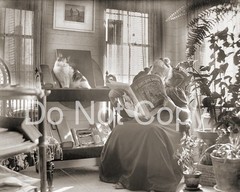 Antique Photograph Woman Reading with Cats Sunroom Early 1900s