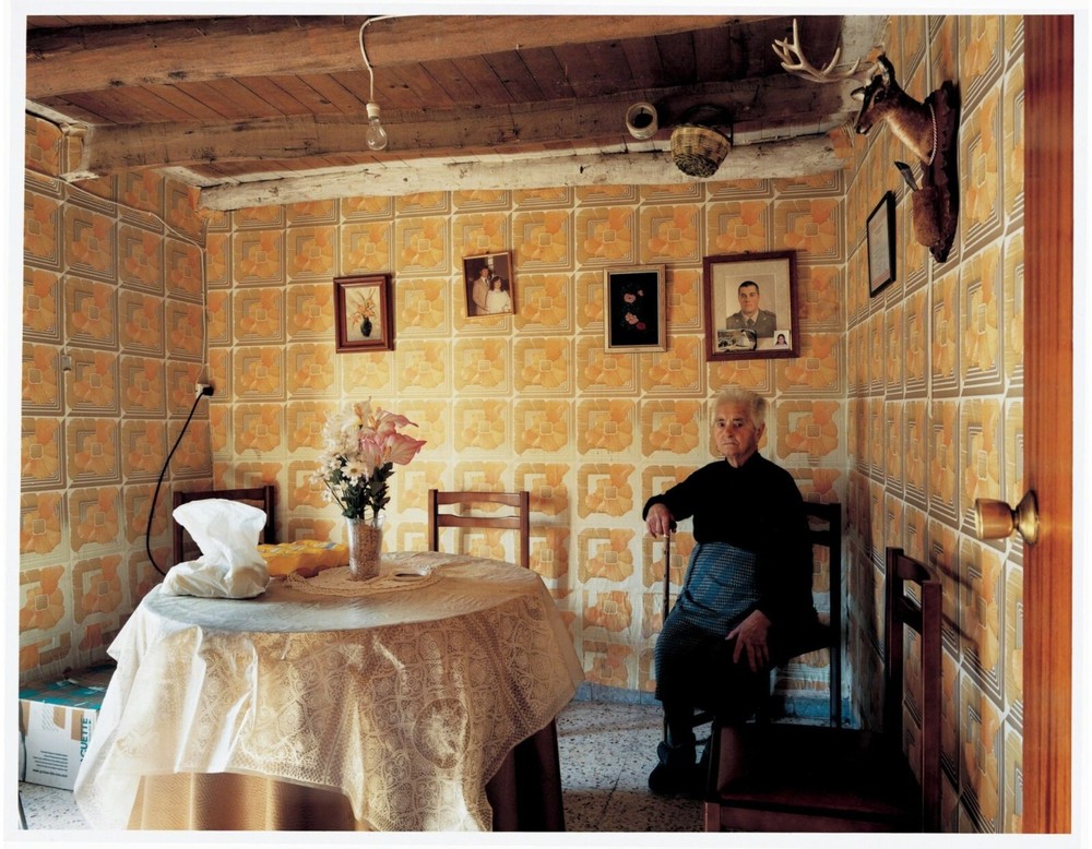 BERT TEUNISSEN Domestic Landscape SIGNED Photograph ‘Pino del Oro #3’ 2005 14×17