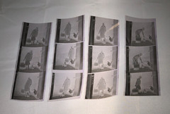 NEWLY FOUND! Hendrickson PHOTO Contact Sheet Proof/Negs FARM GIRL FEEDS CHICKENS