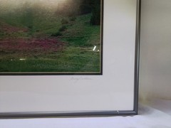 Framed «Cloud Mountain» Photograph by Gary Carlson