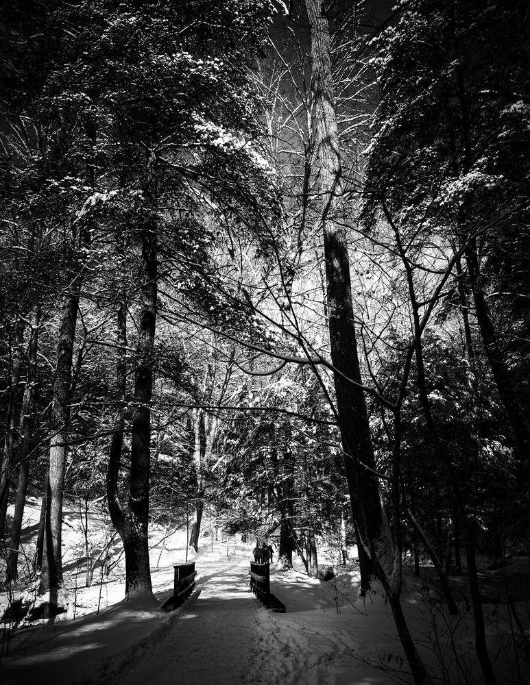 LANDSCAPE 8.5×11 or 13X19 B&W BORDERLESS GLOSSY PRINT (FREE SHIPPING)