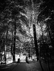 LANDSCAPE 8.5×11 or 13X19 B&W BORDERLESS GLOSSY PRINT (FREE SHIPPING)