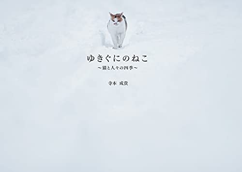 Snow Country Cats The Seasons with Humans
