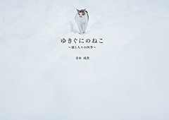 Snow Country Cats The Seasons with Humans