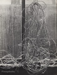 1932 Vintage EMMANUEL SOUGEZ String In Window Still Life Photo Gravure Art 16×20