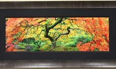 Peter Lik Signed Limited Edition «Autumn Spirit» 1.5 meter 606 Ash Frame 158/950