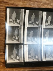 NEWLY FOUND! Hendrickson PHOTO Contact Sheet Proof/Negs FARM GIRL FEEDS CHICKENS