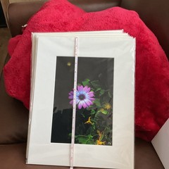 Starlight Purple Flower Matted, Prolific Photo Creative Art By Kathy Marquez