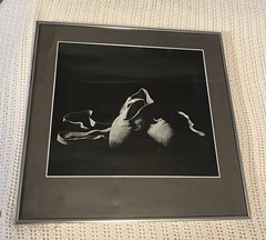 Ballet Pointe Shoes B/W Framed Photo