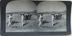 Greece Greece Agriculture Photography Stereo Vintage