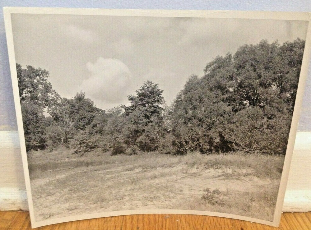 Arthur Gray Original Iconic Cleveland Ohio Dunes Scene WPA Original Photograph!