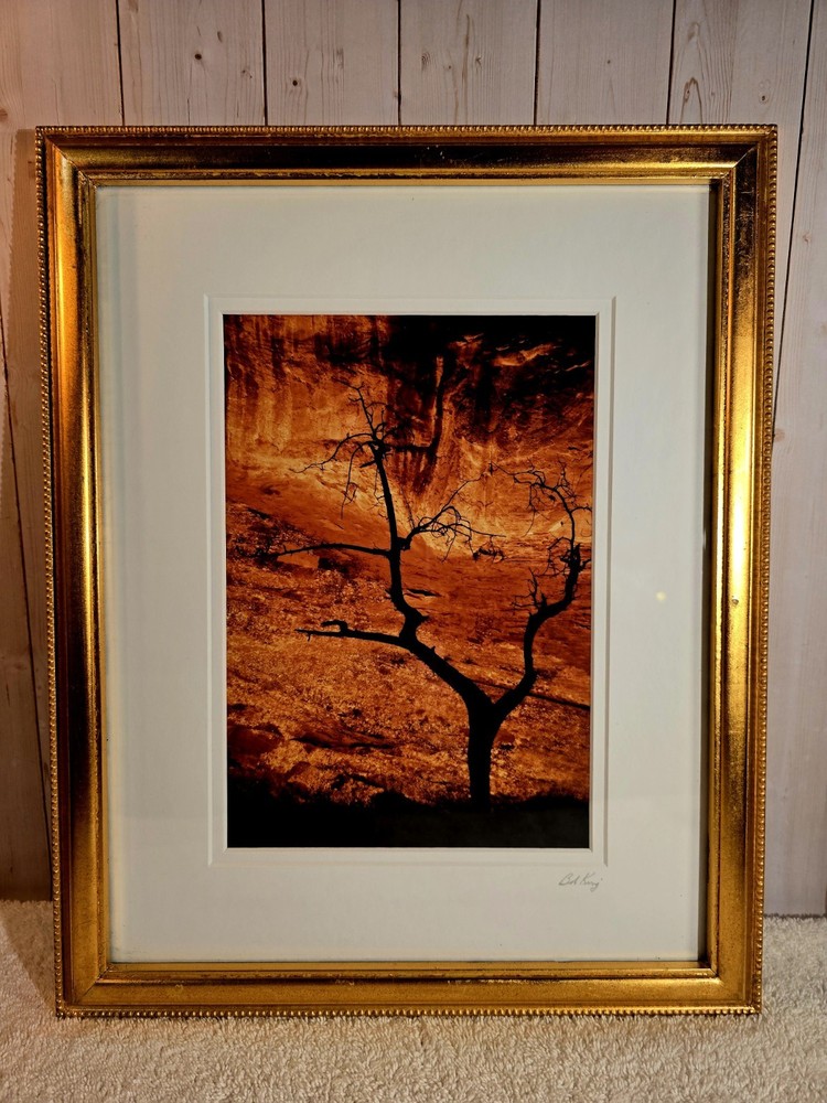 Signed Bob King 2008 Monument Valley, Utah Photograph Framed 13×16