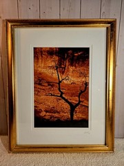 Signed Bob King 2008 Monument Valley, Utah Photograph Framed 13×16